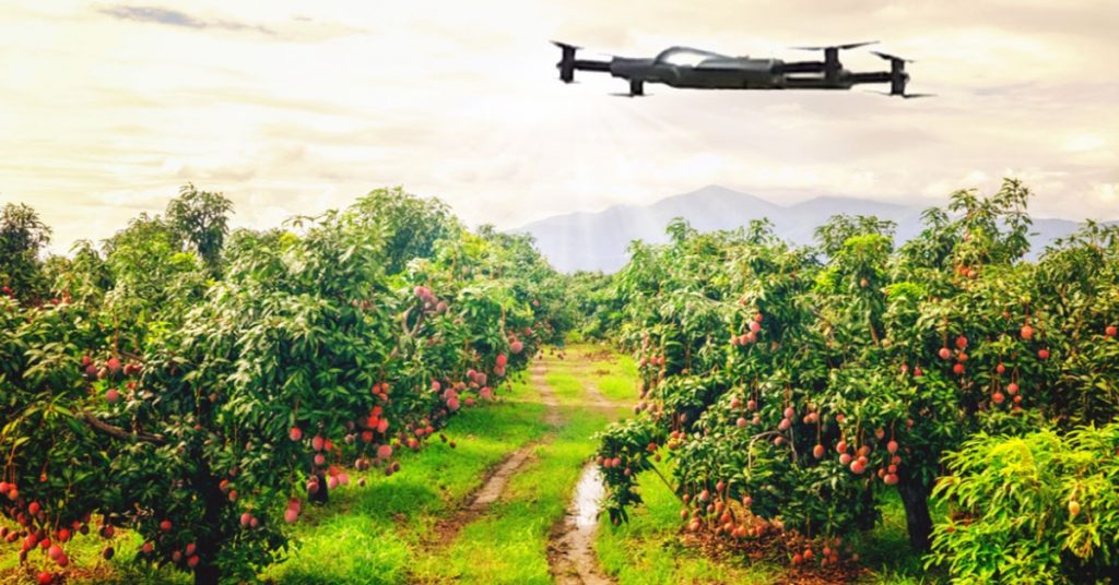 Top Uses and Benefits in Fruit Farming and Production