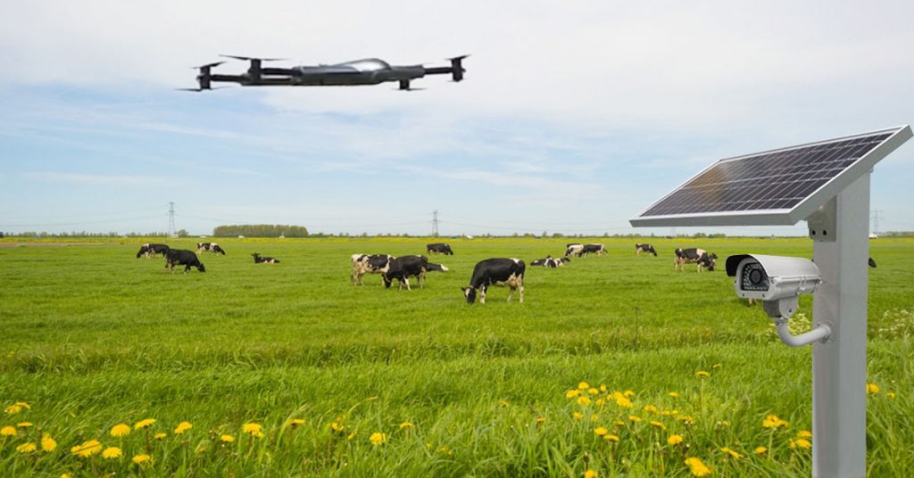 Drones Enhance Farm Security And Surveillance Details
